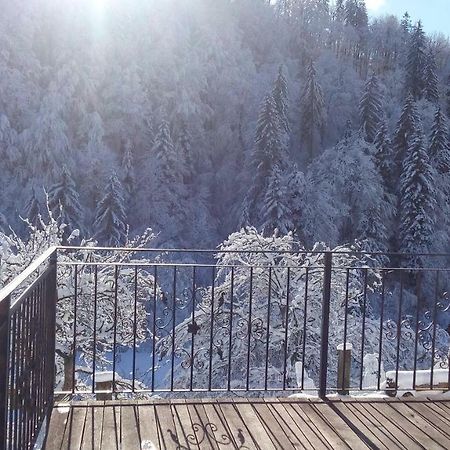 Turisticna Kmetija Weiss Villa Miklavz pri Taboru Exteriör bild