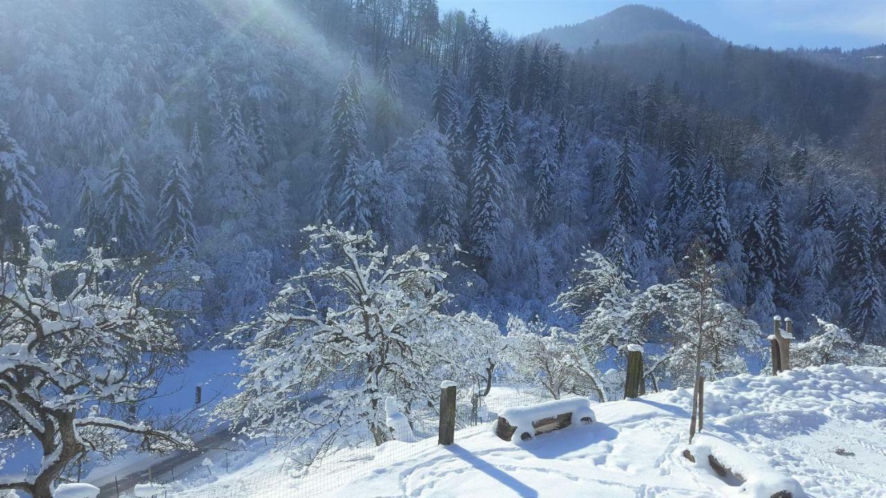 Turisticna Kmetija Weiss Villa Miklavz pri Taboru Exteriör bild