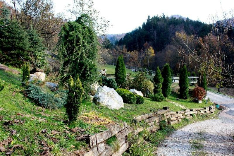 Turisticna Kmetija Weiss Villa Miklavz pri Taboru Exteriör bild