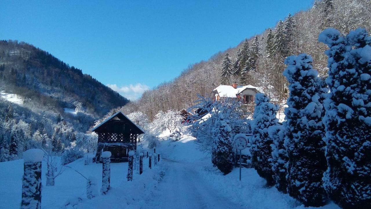 Turisticna Kmetija Weiss Villa Miklavz pri Taboru Exteriör bild